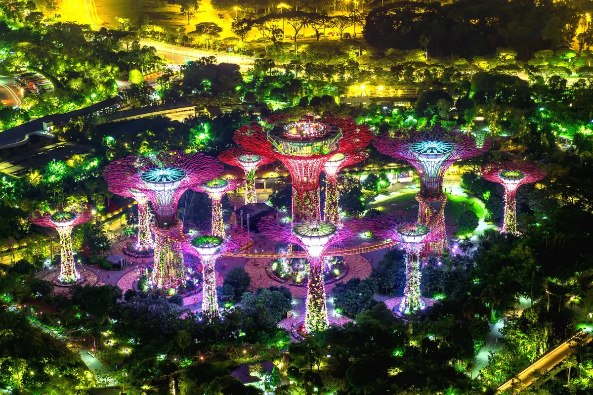 Nächtlicher Luftblick auf den beleuchteten Supertree Grove der Gardens by the Bay