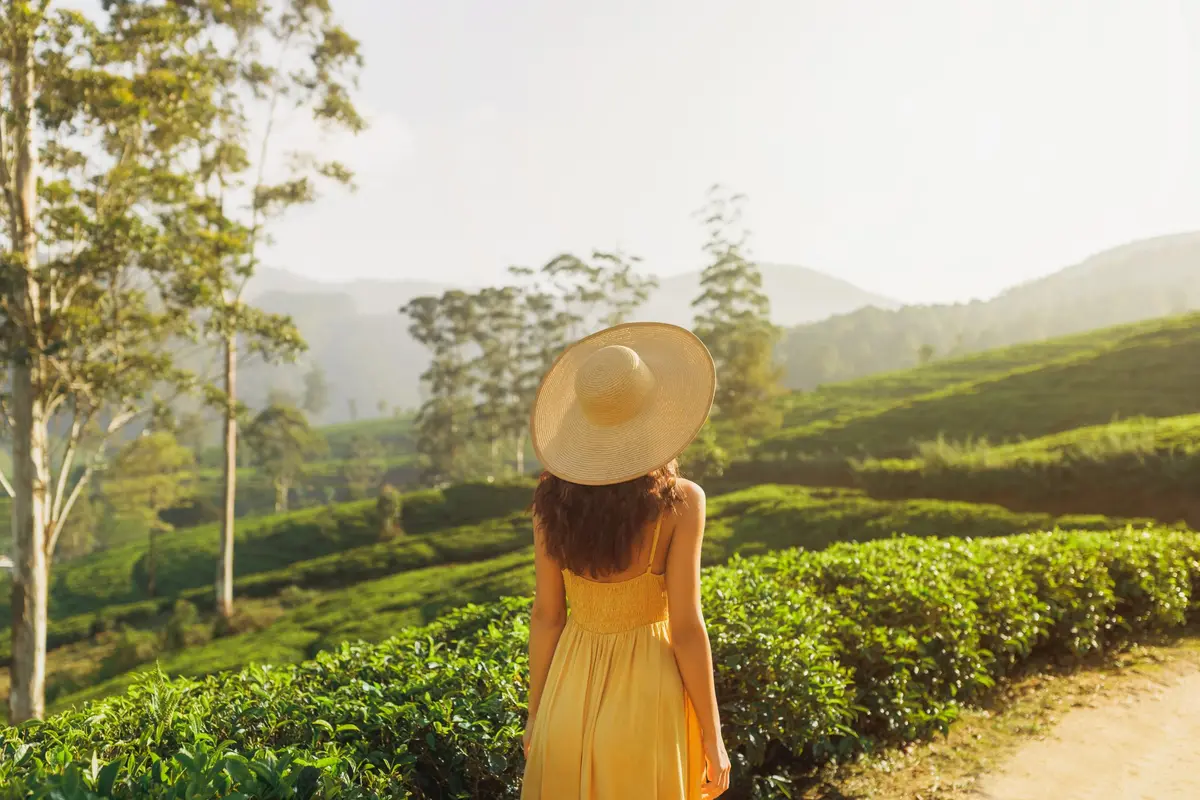 Eine Reisende in gelbem Kleid und breitem Strohhut blickt über dunstige Teehügel im Hochland von Sri Lanka