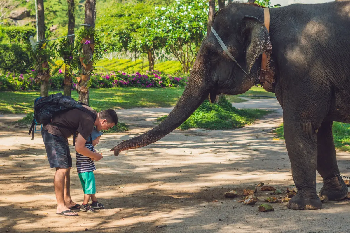Un padre se agacha con su hijo pequeño mientras un elefante extiende la trompa en un parque tropical