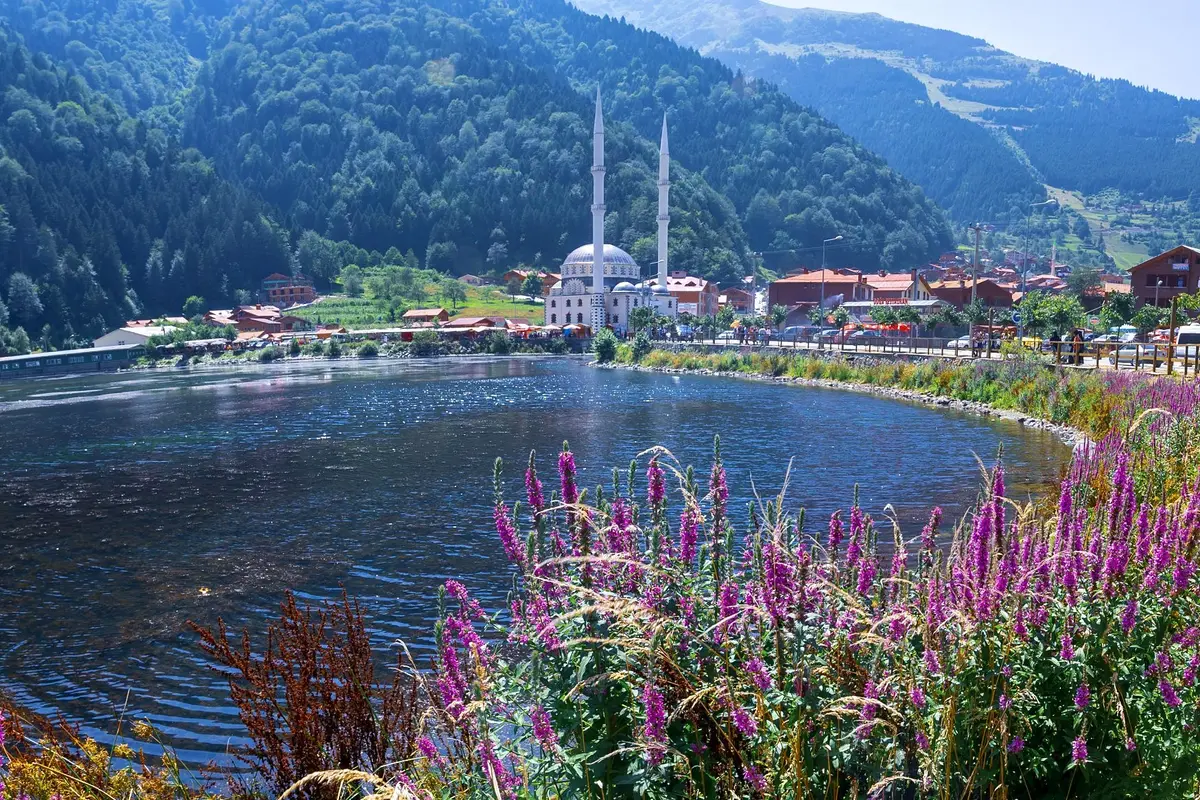 Ein Bergsee mit zweiminarettiger Moschee, Holzhäusern und violetten Wildblumen im Vordergrund