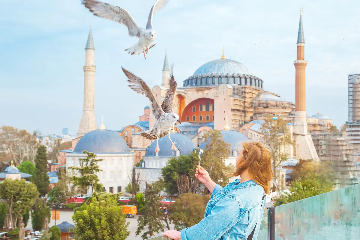 امرأة تُطعم النوارس على شرفة وخلفها آيا صوفيا