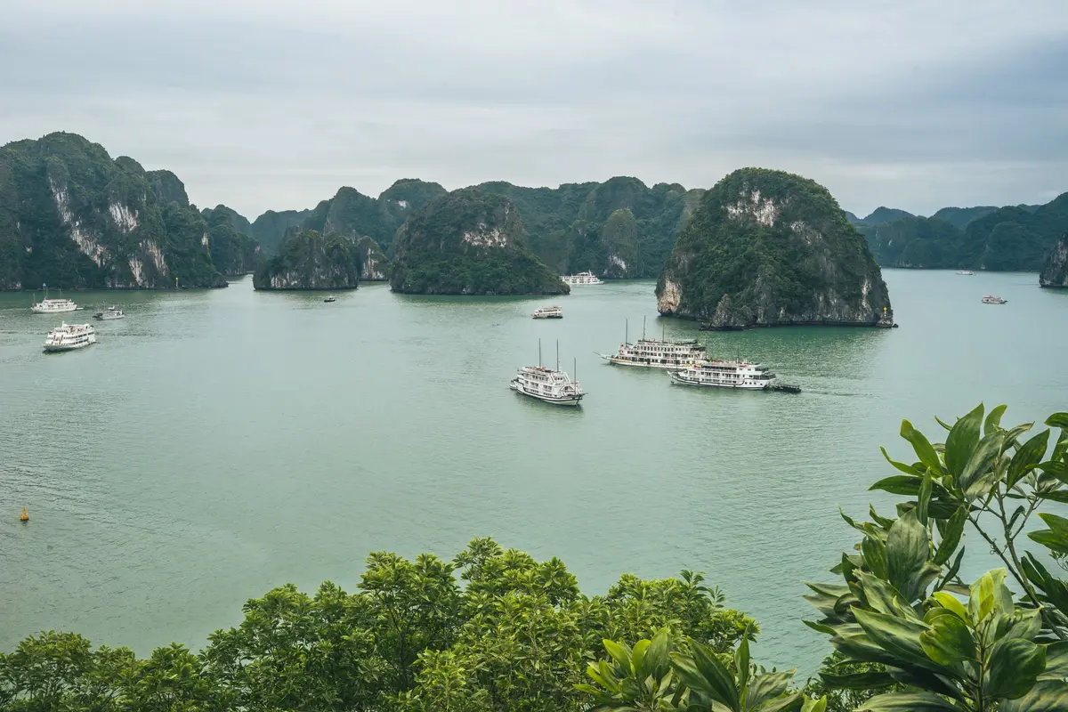 Kreuzfahrtboote zwischen den Kalksteininseln der Ha-Long-Bucht