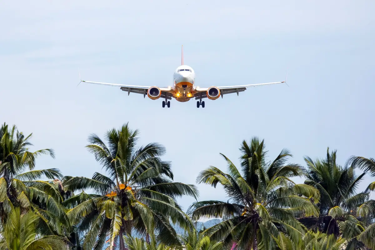 Ein Passagierflugzeug im Endanflug über hohen Palmen